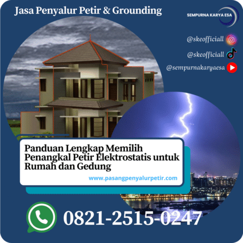 panduan lengkap memilih PP