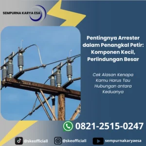 pentingnya arrester dalam penangkal petir